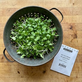 Bok Choy Cabbage, Microgreen Seeds